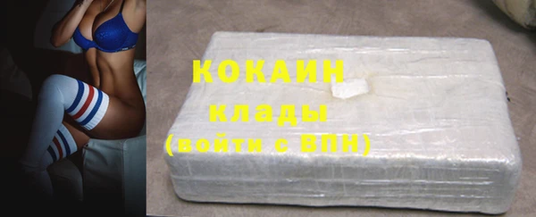 сатива Сатка