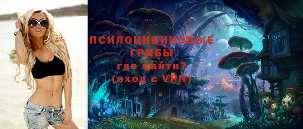 соль ск Балахна