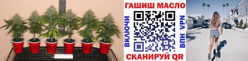 ТГК THC oil Никольск