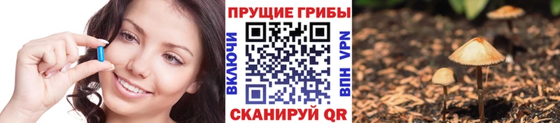 Галлюциногенные грибы Psilocybine cubensis  Никольск 
